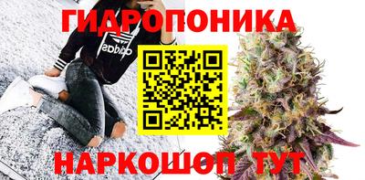 кокаин Кингисепп