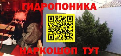 СК Кинель