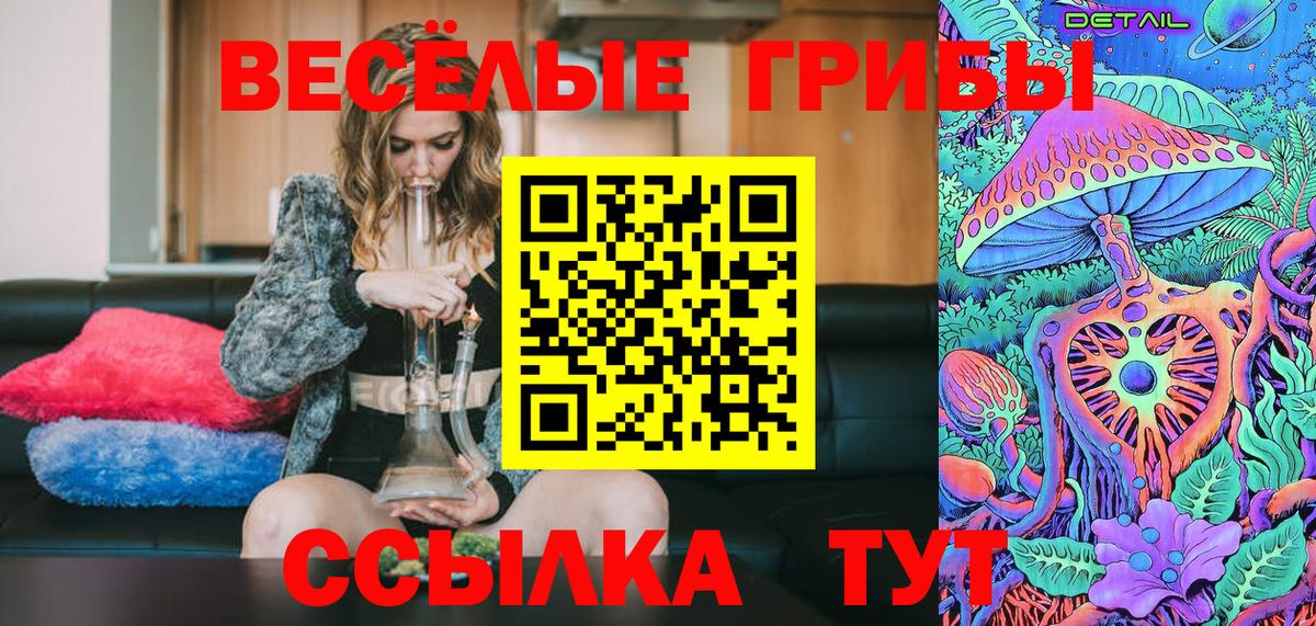 Юрга  Псилоцибиновые грибы Cubensis  Вход с VPN  Галлюциногенные грибы мухоморы 